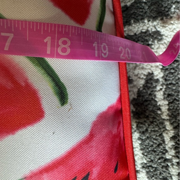 20 inch square outdoor watermelon pillow🍉 darling piping around edge-see photos - Picture 2 of 7